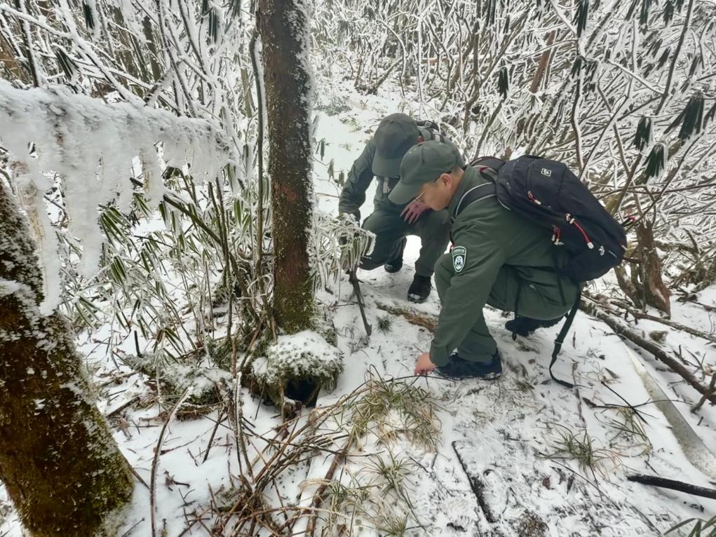 
北医三院黄牛代挂号电话票贩子号贩子网上预约挂号,住院检查加快,新春走基层·记者体验360行|我当野生动物监测员