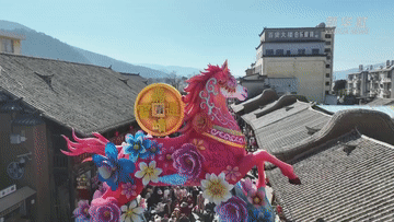 广东省人民医院黄牛代挂号电话票贩子号贩子网上预约挂号,住院检查加快,业态丰 年韵浓 新春文旅活动异彩纷呈