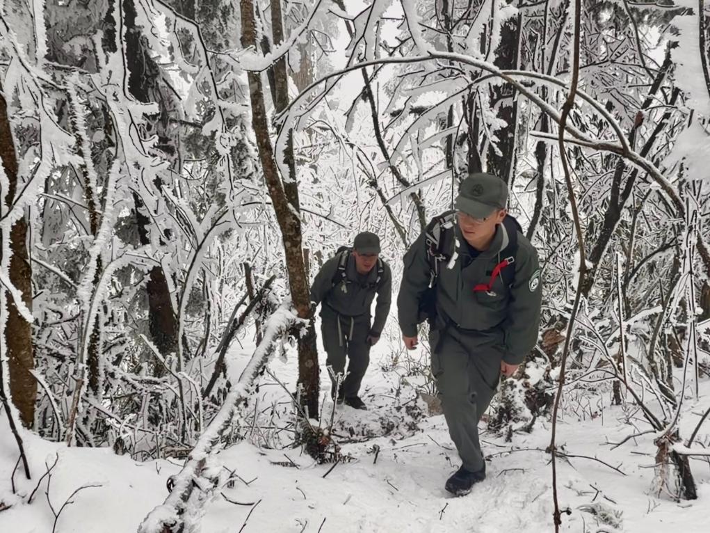 
北医三院黄牛代挂号电话票贩子号贩子网上预约挂号,住院检查加快,新春走基层·记者体验360行|我当野生动物监测员