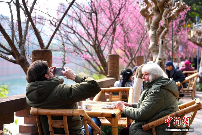 
北医三院黄牛代挂号电话票贩子号贩子网上预约挂号,住院检查加快,（新春走基层）当“city walk”遇见成都 外籍人士沉浸式感受“安逸生活”