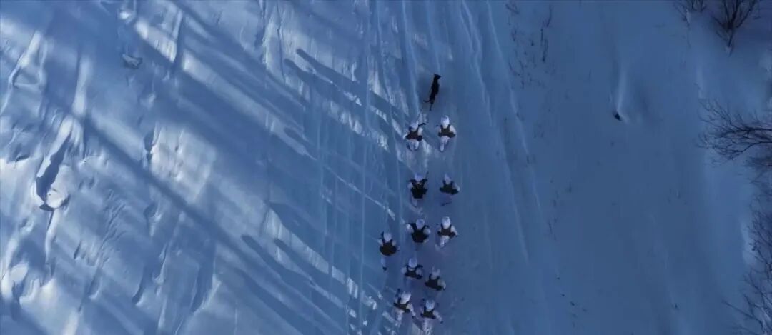 
北京中医药大学东直门医院黄牛代挂号电话票贩子号贩子网上预约挂号,住院检查加快,新春走基层｜小姨做的蛋饺！边防战士收到珍贵的新年礼物