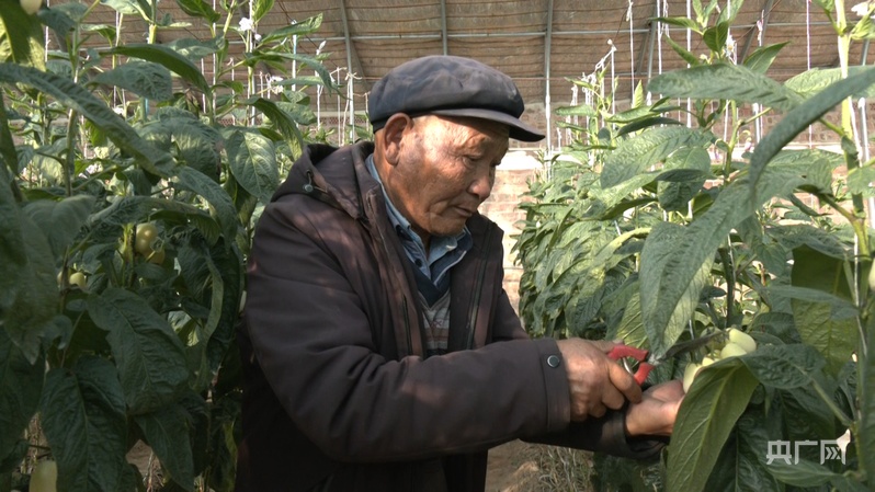 
中国中医科学院望京医院黄牛代挂号电话票贩子号贩子网上预约挂号,住院检查加快,【习声回响】让老百姓幸福就是党的事业