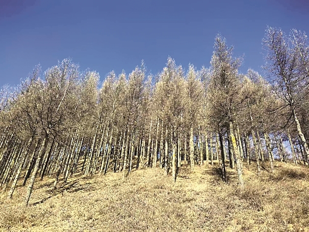 
杭州市七医院黄牛代挂号电话票贩子号贩子网上预约挂号,住院检查加快,【新春走基层·走进西海固】那块原本贫瘠的土地，“肥沃”起来了