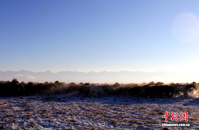 
沈阳医大一院黄牛代挂号电话票贩子号贩子网上预约挂号,住院检查加快,东西问｜马合木提·阿布都外力：新疆马文化何以实证中原与西域的交融史？