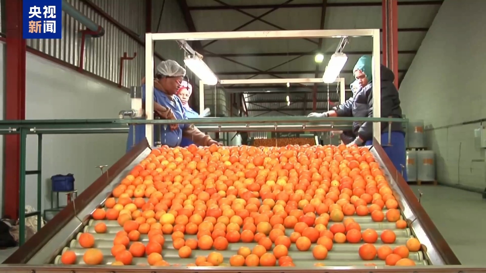 
上海眼耳鼻喉科医院黄牛代挂号电话票贩子号贩子网上预约挂号,住院检查加快,非洲学者：中国零关税举措为非洲创造发展机会