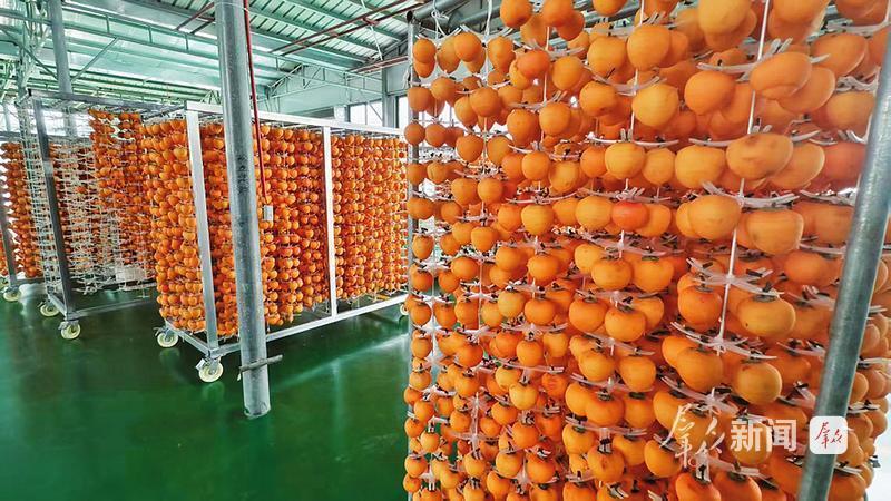 
上海龙华医院黄牛代挂号电话票贩子号贩子网上预约挂号,住院检查加快,于烟火里，看见一座小城的动人模样