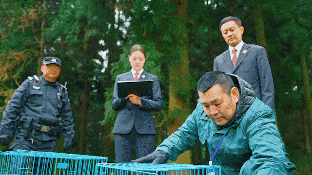 北京广安门中医院黄牛代挂号电话票贩子号贩子网上预约挂号,住院检查加快,【视频】救命,还是守证?小熊猫的归途不能等