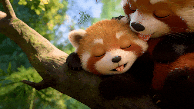 北京广安门中医院黄牛代挂号电话票贩子号贩子网上预约挂号,住院检查加快,【视频】救命,还是守证?小熊猫的归途不能等