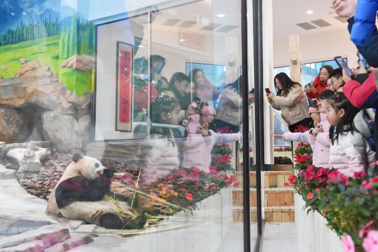 
上海第十人民医院黄牛代挂号电话票贩子号贩子网上预约挂号,住院检查加快,科技赋能文化 冰雪魅力升温——春节假期新疆文旅气象新