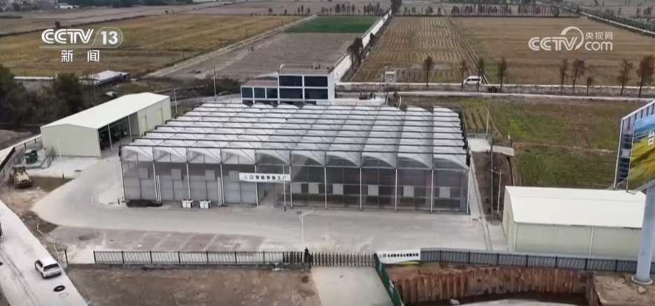 
广州市第一人民医院黄牛代挂号电话票贩子号贩子网上预约挂号,住院检查加快,各地积极开展春耕春管工作 希望的田野上“苗”绘多彩春景图