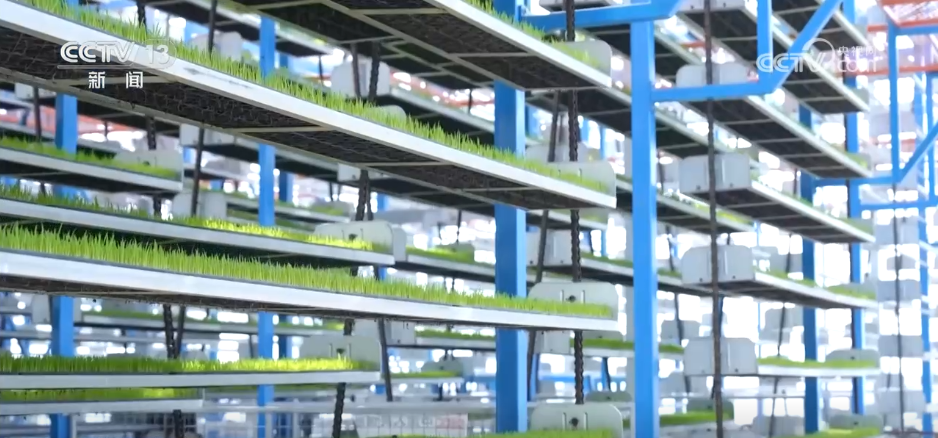 
广州市第一人民医院黄牛代挂号电话票贩子号贩子网上预约挂号,住院检查加快,各地积极开展春耕春管工作 希望的田野上“苗”绘多彩春景图