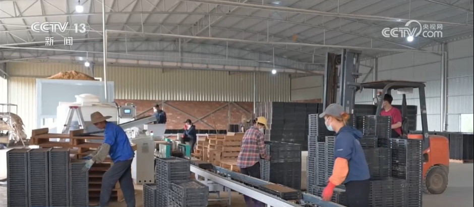 
广州市第一人民医院黄牛代挂号电话票贩子号贩子网上预约挂号,住院检查加快,各地积极开展春耕春管工作 希望的田野上“苗”绘多彩春景图