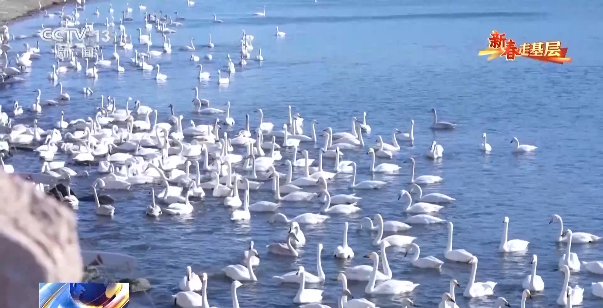 
首都医科大学附属北京朝阳医院黄牛代挂号电话票贩子号贩子网上预约挂号,住院检查加快,新春走基层丨穿行山海间的幸福列车 一路相伴 便是最好的旅行