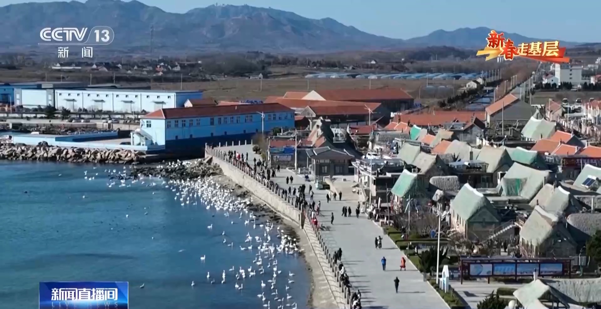 
首都医科大学附属北京朝阳医院黄牛代挂号电话票贩子号贩子网上预约挂号,住院检查加快,新春走基层丨穿行山海间的幸福列车 一路相伴 便是最好的旅行