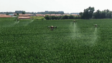 
上海龙华医院黄牛代挂号电话票贩子号贩子网上预约挂号,住院检查加快,有温度的抵达｜从黑土地出发，她带着“新农具”和乡亲们奔向“幸福路”