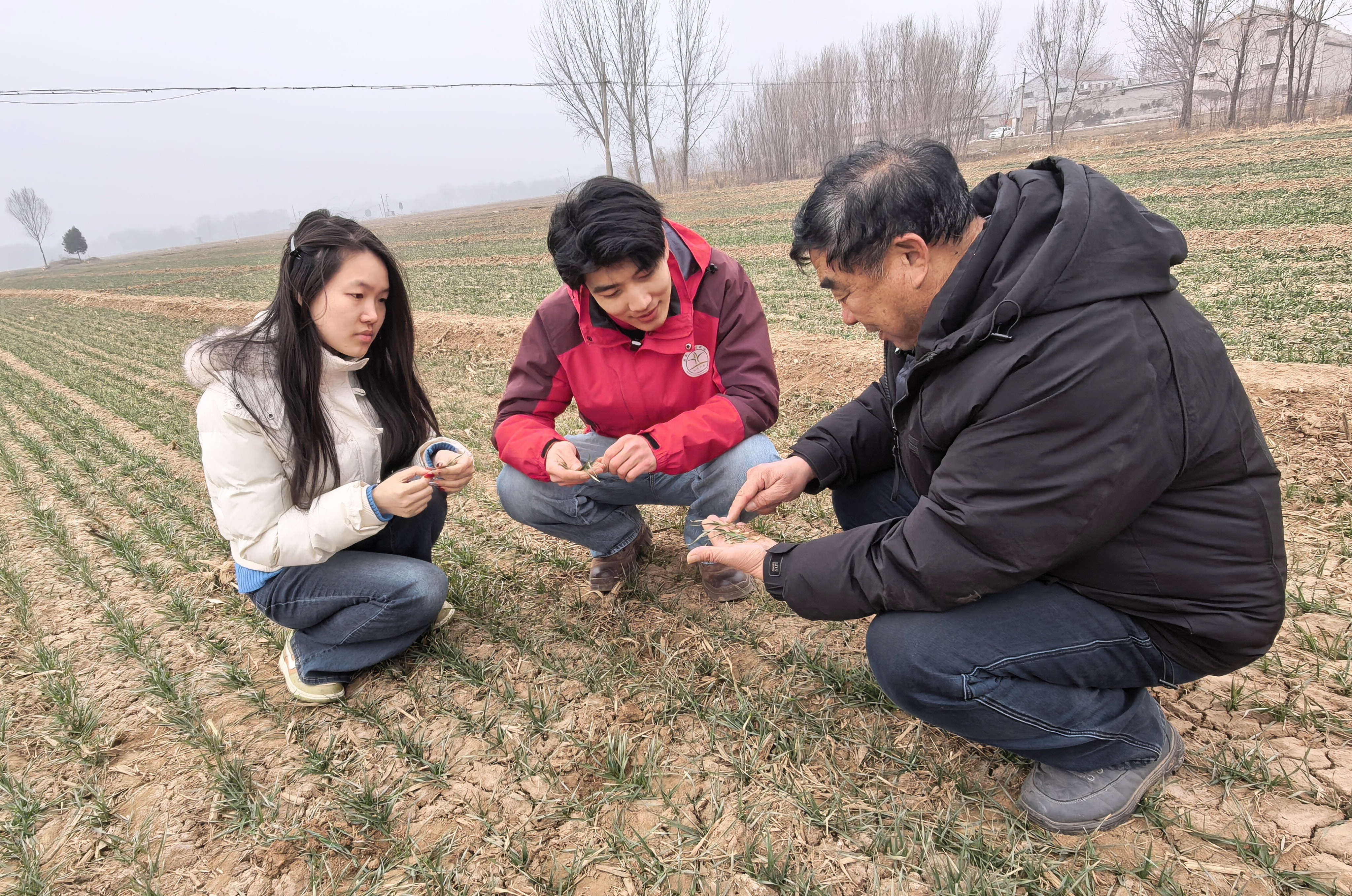 
首都医科大学附属北京妇产医院黄牛代挂号电话票贩子号贩子网上预约挂号,住院检查加快,2026新春走基层 | 盐碱地上崛起“绿色粮仓”