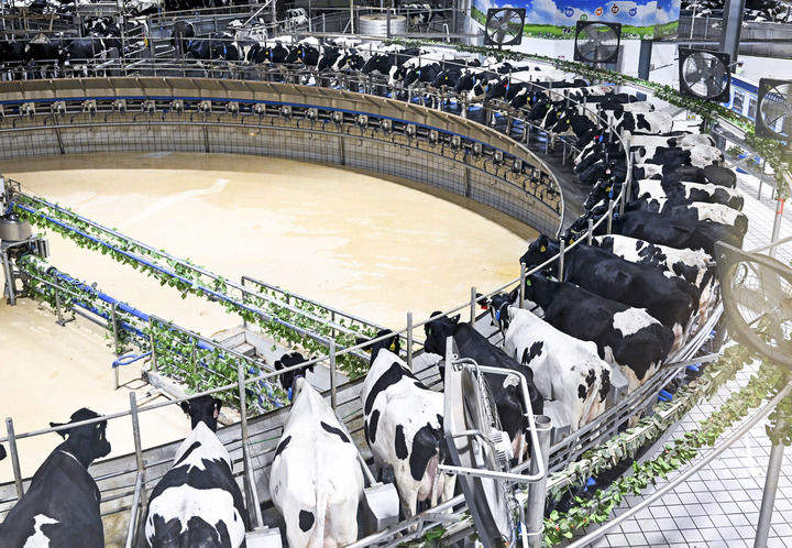 
北京大学第六医院黄牛代挂号电话票贩子号贩子网上预约挂号,住院检查加快,推动农业农村现代化再上新台阶——从中央一号文件看2026年“三农”工作路线图