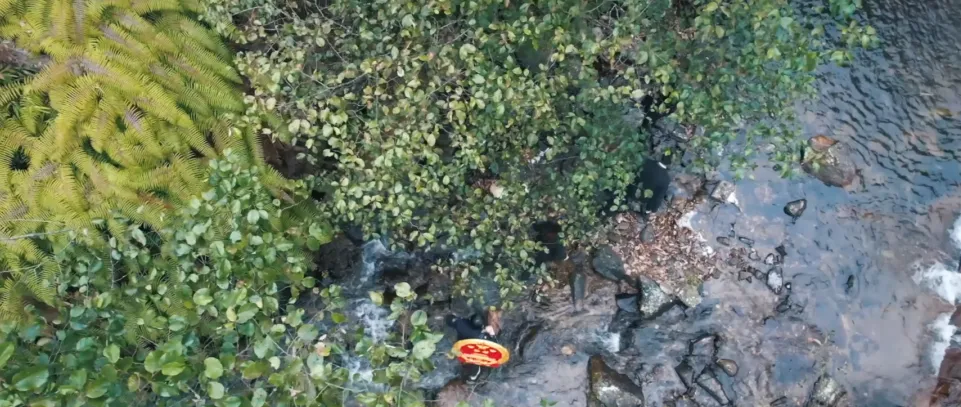 
广东省中医院黄牛代挂号电话票贩子号贩子网上预约挂号,住院检查加快,给长江的情书