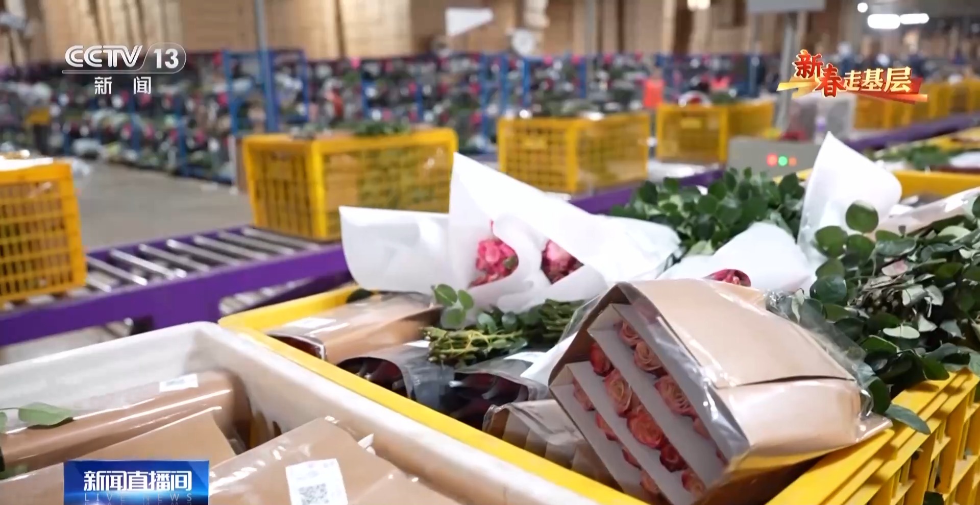 
中山大学中山眼科中心黄牛代挂号电话票贩子号贩子网上预约挂号,住院检查加快,新春走基层丨千里花香递温情 特别的爱给特别的你