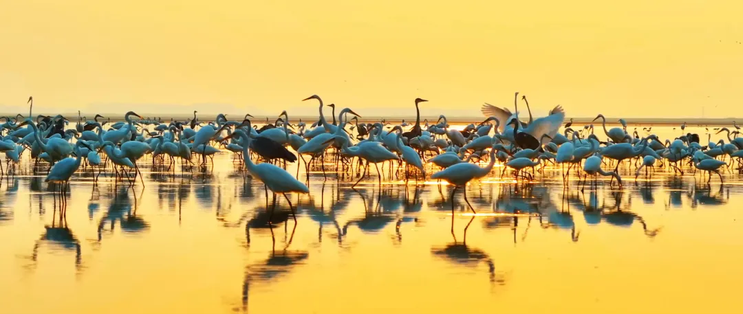 
广东省中医院黄牛代挂号电话票贩子号贩子网上预约挂号,住院检查加快,给长江的情书