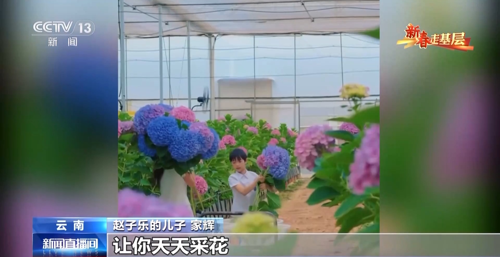 
中山大学中山眼科中心黄牛代挂号电话票贩子号贩子网上预约挂号,住院检查加快,新春走基层丨千里花香递温情 特别的爱给特别的你