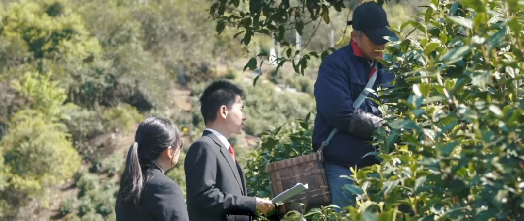 
广东省中医院黄牛代挂号电话票贩子号贩子网上预约挂号,住院检查加快,给长江的情书