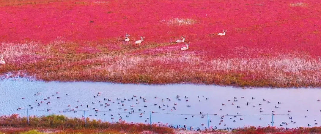 
广东省中医院黄牛代挂号电话票贩子号贩子网上预约挂号,住院检查加快,给长江的情书