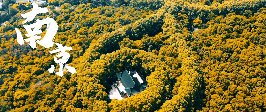 
广东省中医院黄牛代挂号电话票贩子号贩子网上预约挂号,住院检查加快,给长江的情书