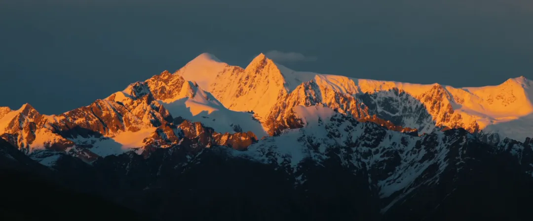 
广东省中医院黄牛代挂号电话票贩子号贩子网上预约挂号,住院检查加快,给长江的情书