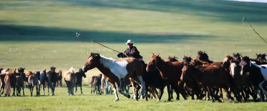 
广东省中医院黄牛代挂号电话票贩子号贩子网上预约挂号,住院检查加快,给长江的情书