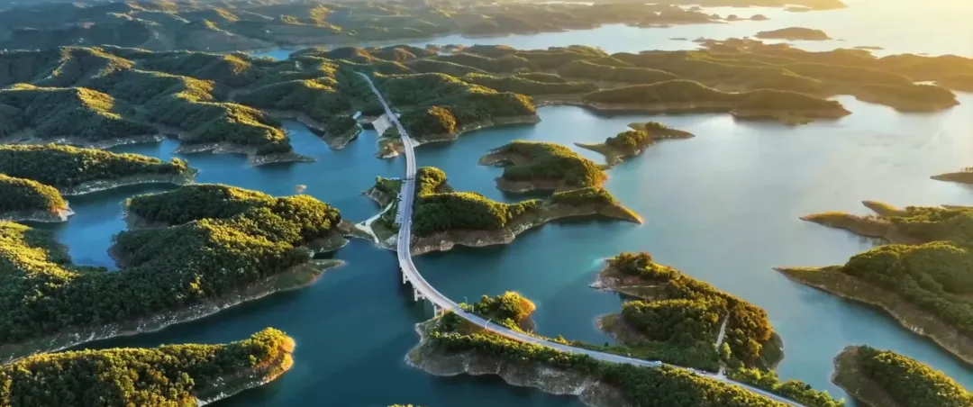 
广东省中医院黄牛代挂号电话票贩子号贩子网上预约挂号,住院检查加快,给长江的情书