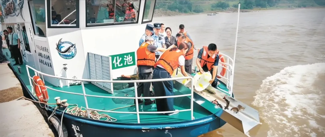 
广东省中医院黄牛代挂号电话票贩子号贩子网上预约挂号,住院检查加快,给长江的情书