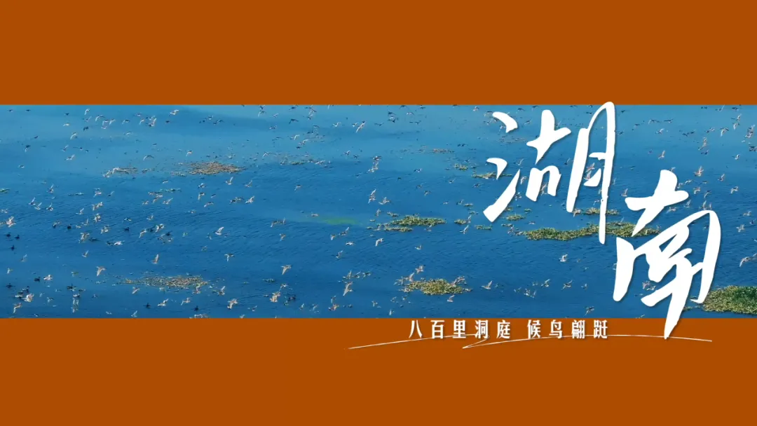 
广东省中医院黄牛代挂号电话票贩子号贩子网上预约挂号,住院检查加快,给长江的情书