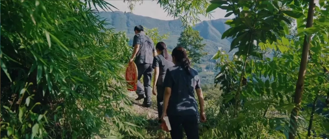 
广东省中医院黄牛代挂号电话票贩子号贩子网上预约挂号,住院检查加快,给长江的情书