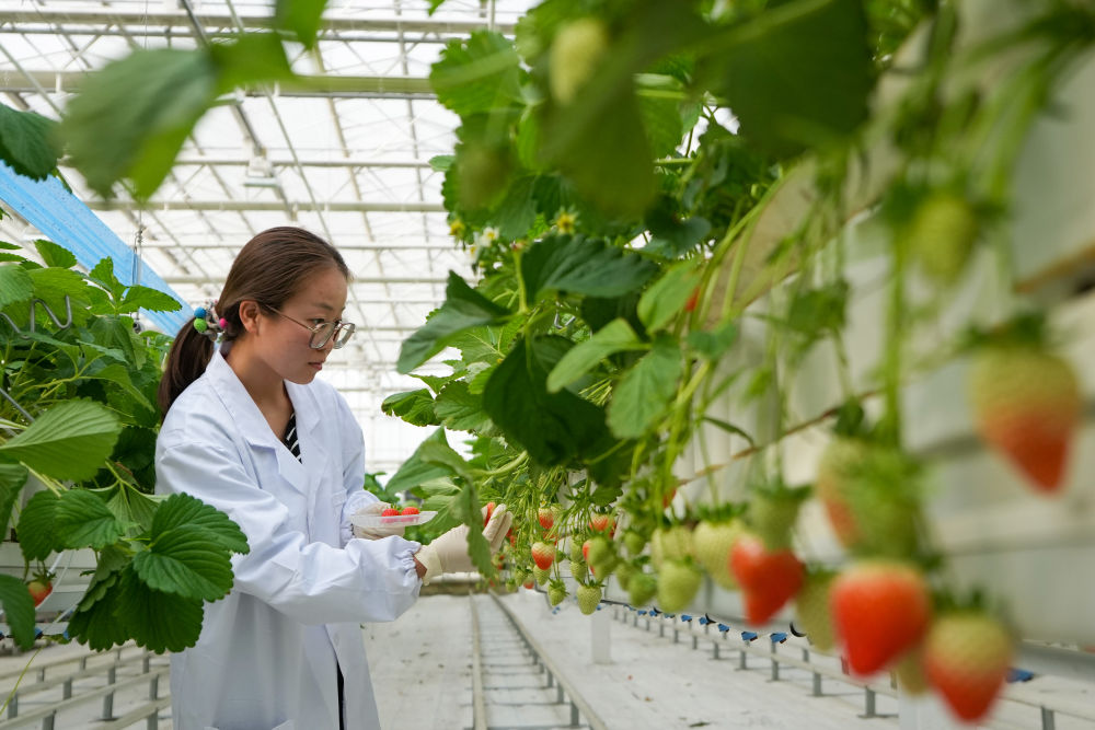 
广州市妇女儿童医疗中心黄牛代挂号电话票贩子号贩子网上预约挂号,住院检查加快,聊会·开局怎么干｜扩内需 推进全国统一大市场