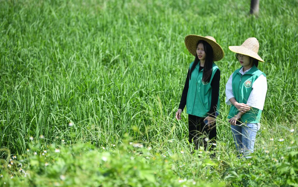 
广州市妇女儿童医疗中心黄牛代挂号电话票贩子号贩子网上预约挂号,住院检查加快,聊会·开局怎么干｜扩内需 推进全国统一大市场