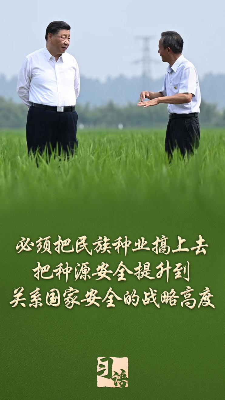 
沈阳医大二院黄牛代挂号电话票贩子号贩子网上预约挂号,住院检查加快,习语丨一粒小小的种子，何以让总书记如此牵挂？