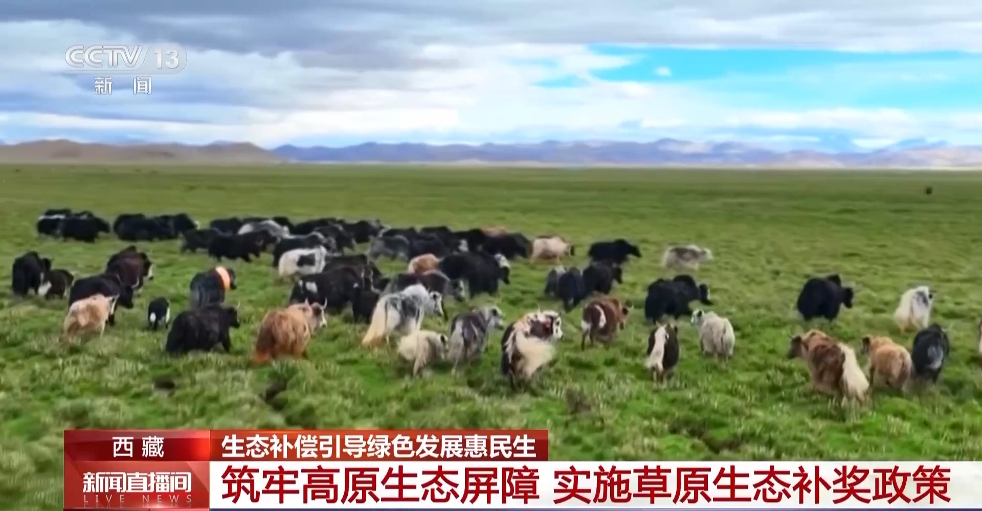 
上海瑞金医院黄牛代挂号电话票贩子号贩子网上预约挂号,住院检查加快,视频丨生态补偿效果如何？去西藏四川看一看