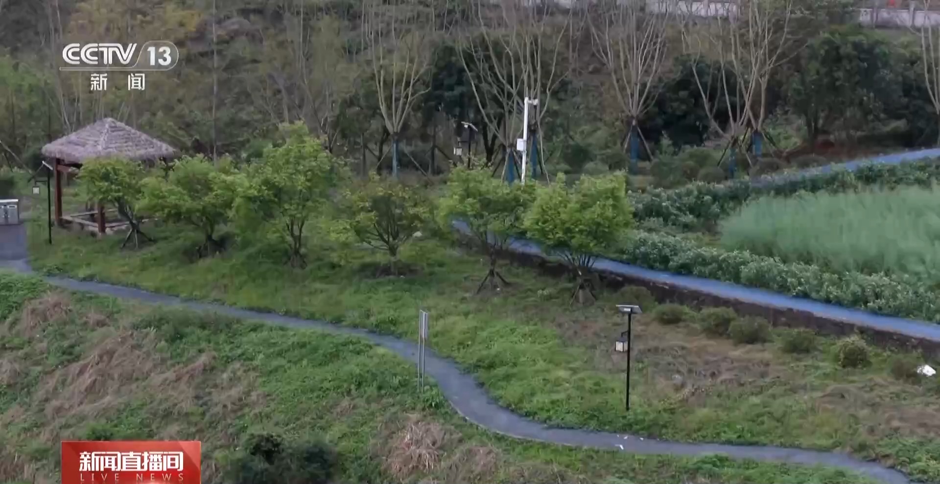 
上海瑞金医院黄牛代挂号电话票贩子号贩子网上预约挂号,住院检查加快,视频丨生态补偿效果如何？去西藏四川看一看