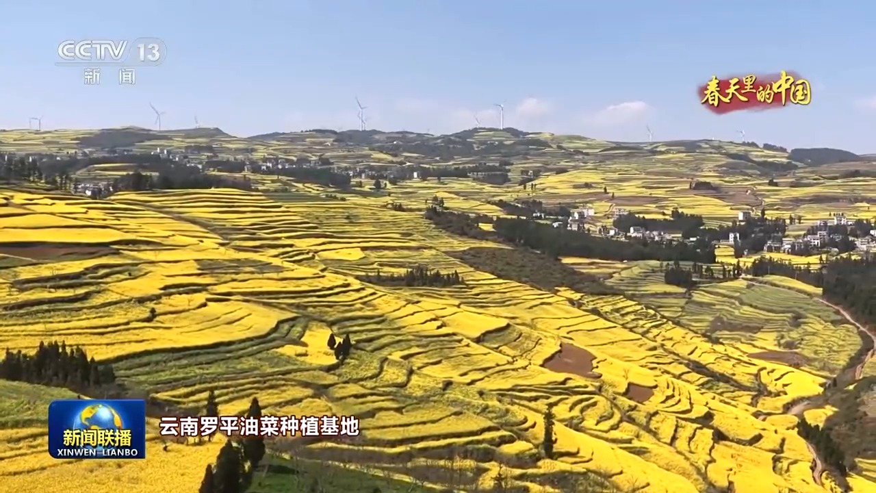 
杭州市第一人民医院黄牛代挂号电话票贩子号贩子网上预约挂号,住院检查加快,视频丨人勤春来早 农忙正当时 走进春天里的中国