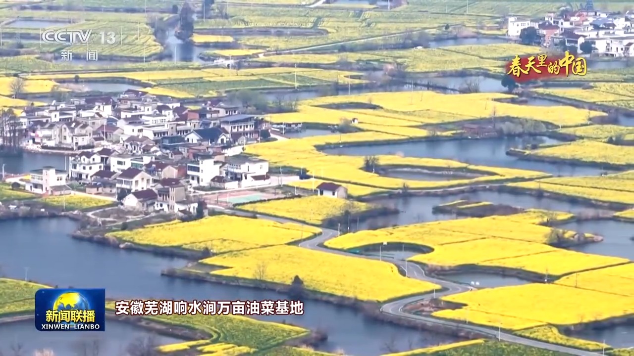 
杭州市第一人民医院黄牛代挂号电话票贩子号贩子网上预约挂号,住院检查加快,视频丨人勤春来早 农忙正当时 走进春天里的中国