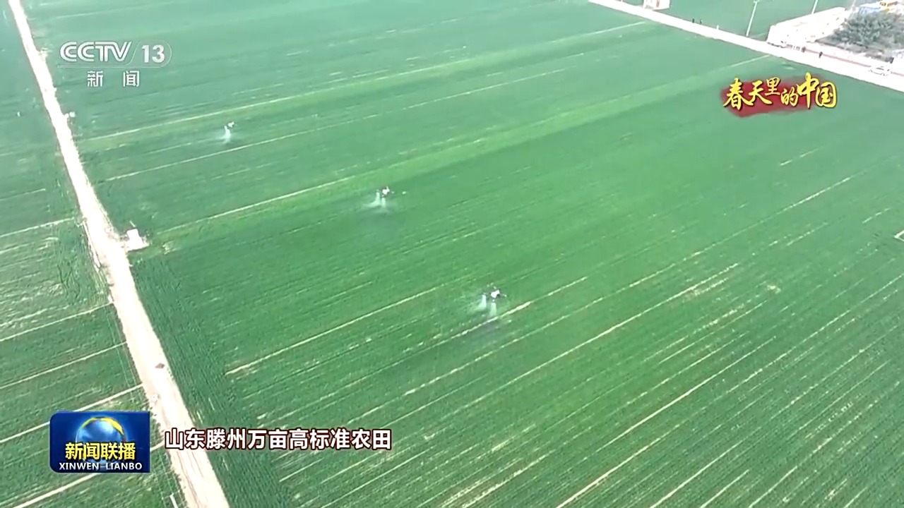 
杭州市第一人民医院黄牛代挂号电话票贩子号贩子网上预约挂号,住院检查加快,视频丨人勤春来早 农忙正当时 走进春天里的中国