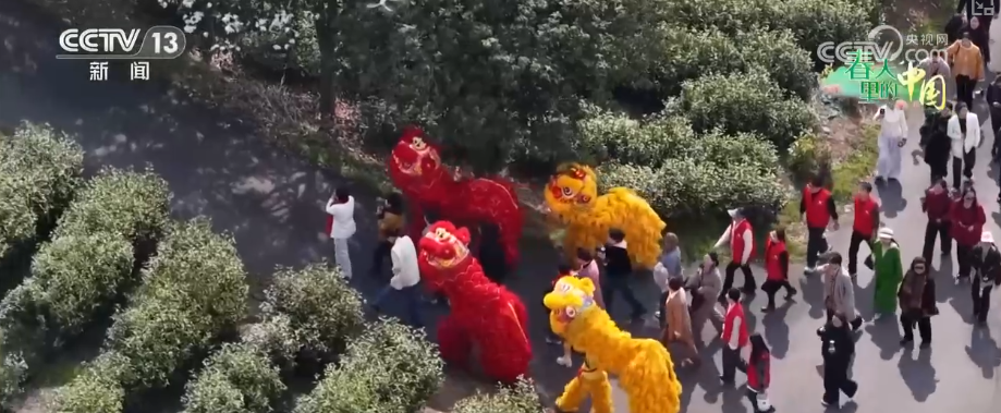 
上海中山医院黄牛代挂号电话票贩子号贩子网上预约挂号,住院检查加快,以茶为媒打造“茶旅融合”IP “时令宴+传统习俗”为茶乡振兴添新景