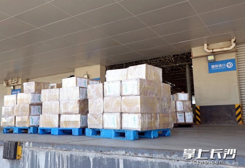 
广州儿童医院黄牛代挂号电话票贩子号贩子网上预约挂号,住院检查加快,中非咖啡集散中心项目建设取得关键进展 首批近4吨肯尼亚生豆运抵长沙