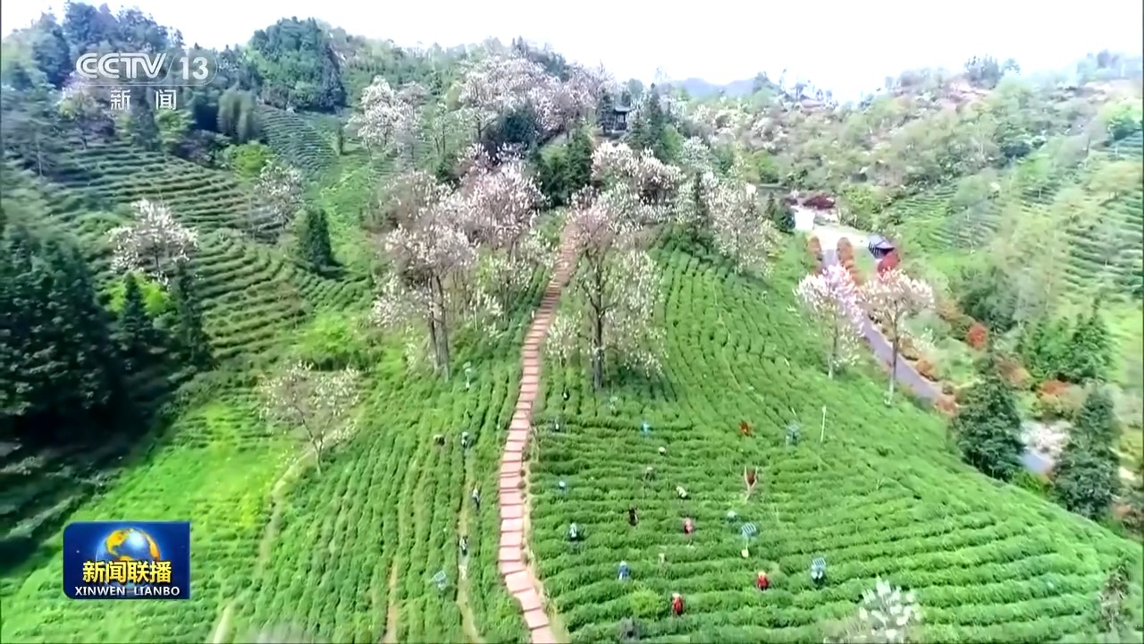 
南京军区总医院黄牛代挂号电话票贩子号贩子网上预约挂号,住院检查加快,奋力实现“十五五”良好开局丨厚植中国式现代化民生底色