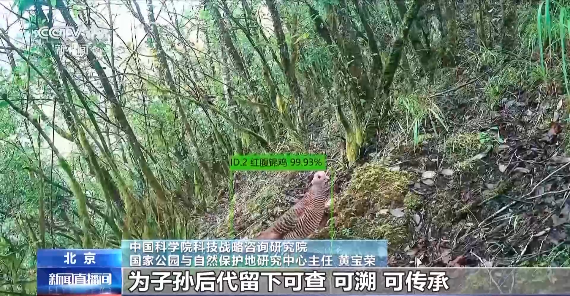 
中山大学附属第一医院黄牛代挂号电话票贩子号贩子网上预约挂号,住院检查加快,视频丨我国森林覆盖率新目标25.8% 解读数字背后的深意