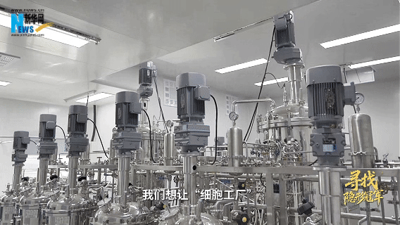 
北京阜外医院黄牛代挂号电话票贩子号贩子网上预约挂号,住院检查加快,寻找隐形冠军｜搭建“细胞工厂” 实现“无中生有”