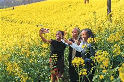 
北京鼓楼医院孙凌云黄牛代挂号电话票贩子号贩子网上预约挂号,住院检查加快,油菜花盛开（侨乡新貌）