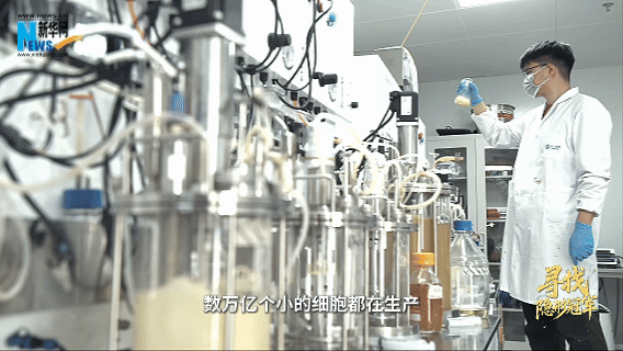 
北京阜外医院黄牛代挂号电话票贩子号贩子网上预约挂号,住院检查加快,寻找隐形冠军｜搭建“细胞工厂” 实现“无中生有”