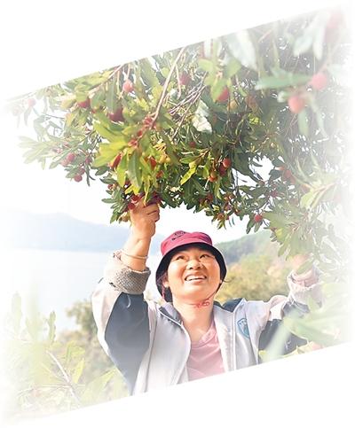 
天津各大医院黄牛代挂号电话票贩子号贩子网上预约挂号,住院检查加快,奋楫高质量发展，未来五年中国这样干